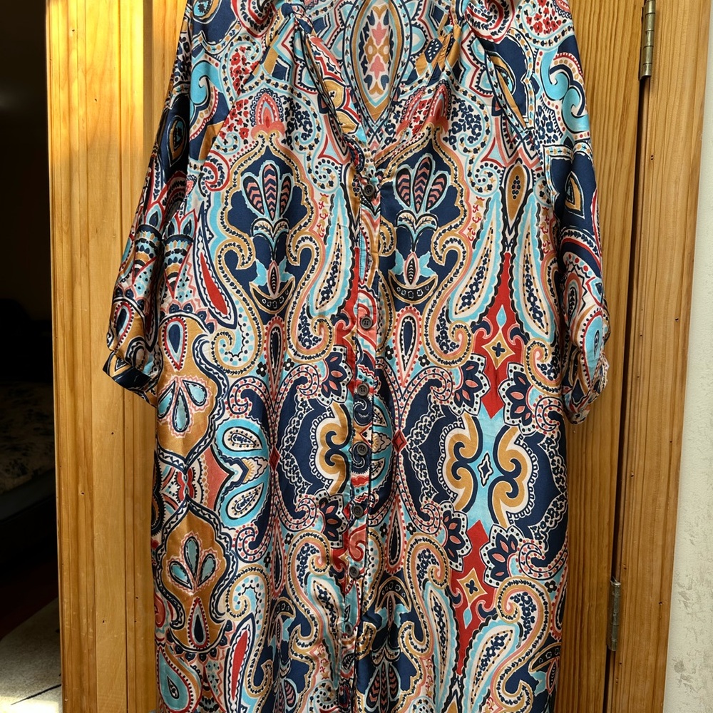 Zara Multicolor Paisley Long Sleeve Dress